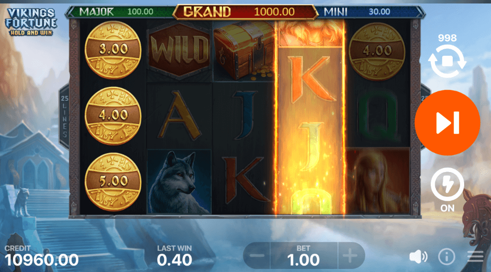 Vikings Fortune: Hold and Win